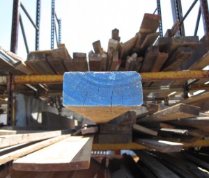 Photo of the blue end of a two by four on our lumber rack.